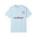 Chambray