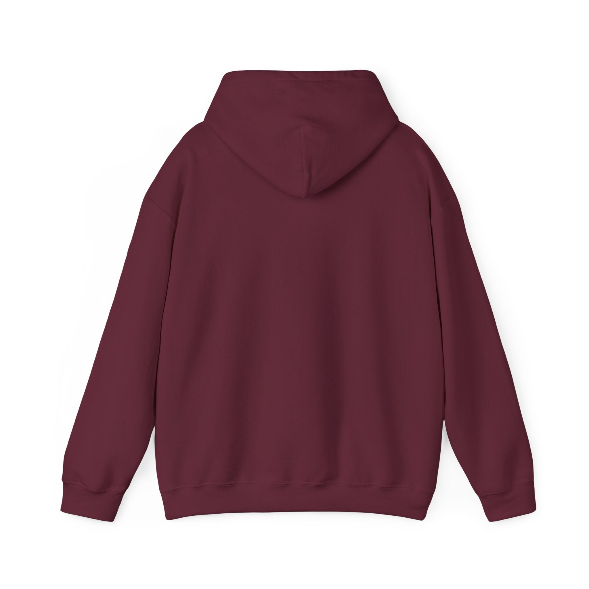 Friendship Earth Hoodie — "Be Kind, Be Friends" Graphic Pullover