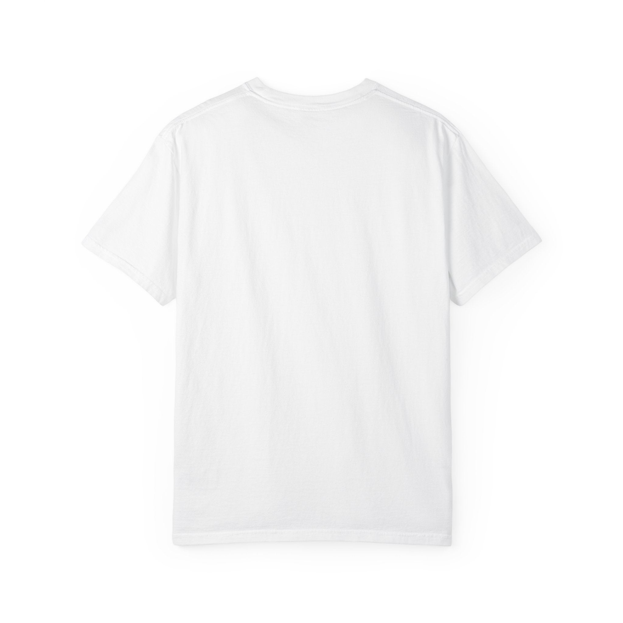 Iron Sharpens Iron Unisex Garment T-shirt