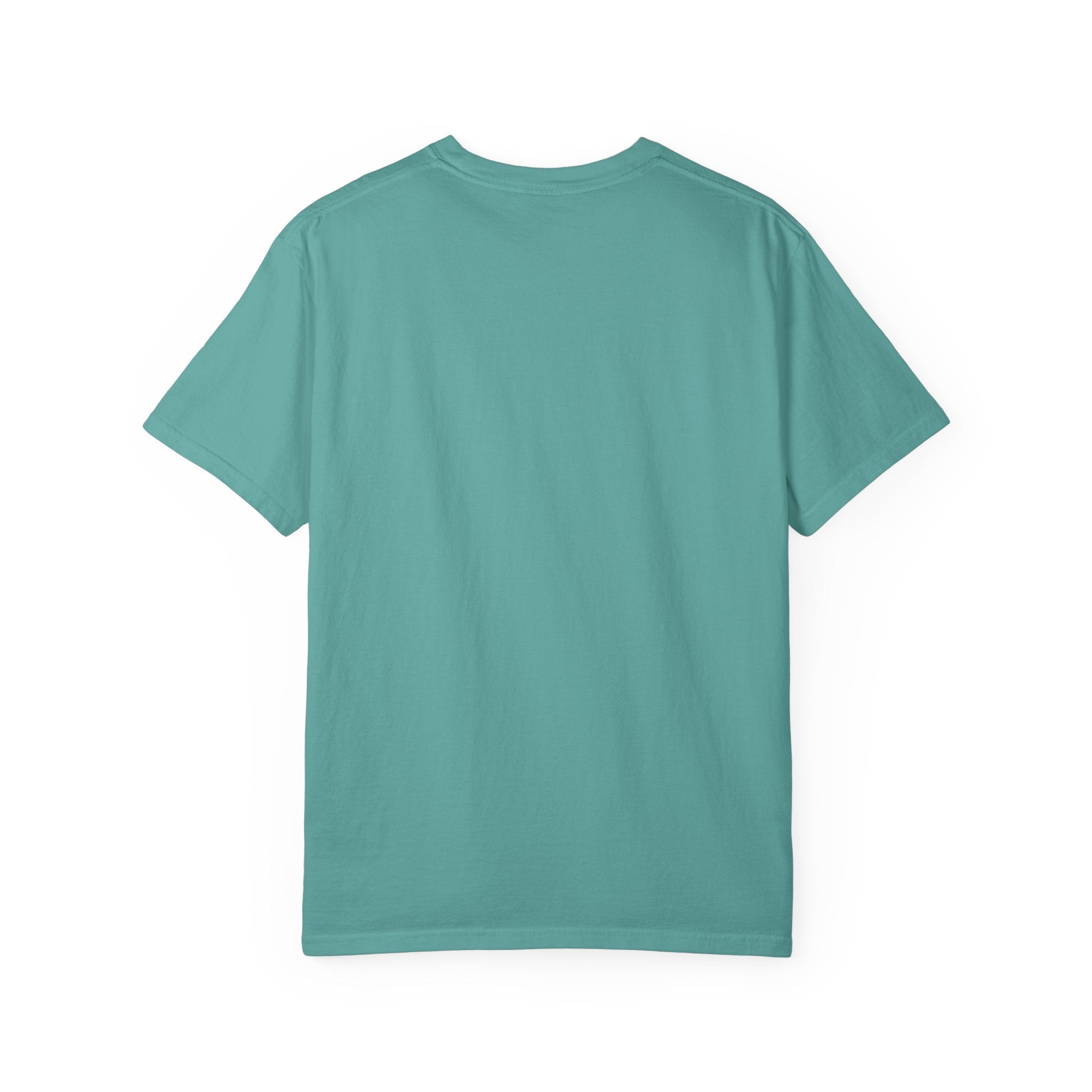 Iron Sharpens Iron Unisex Garment T-shirt