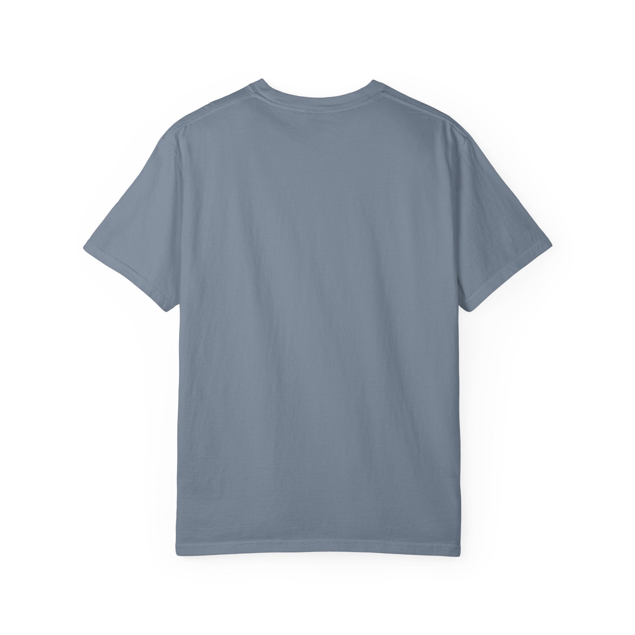 Iron Sharpens Iron Unisex Garment T-shirt